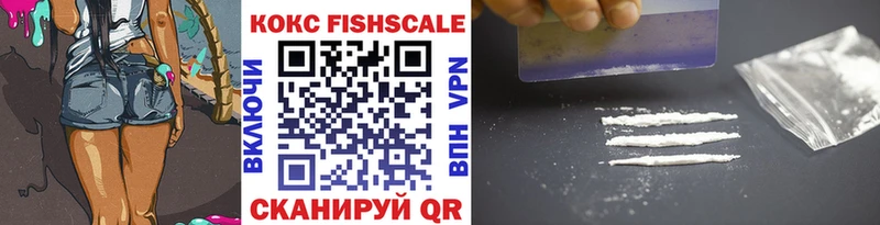 наркота  Вилючинск  Кокаин Fish Scale 