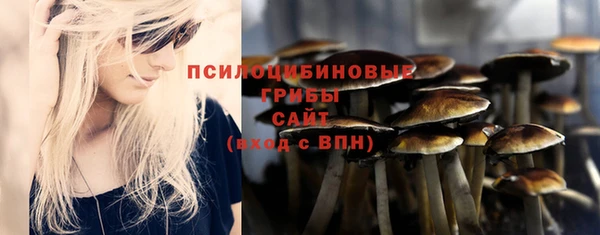 СК Абдулино